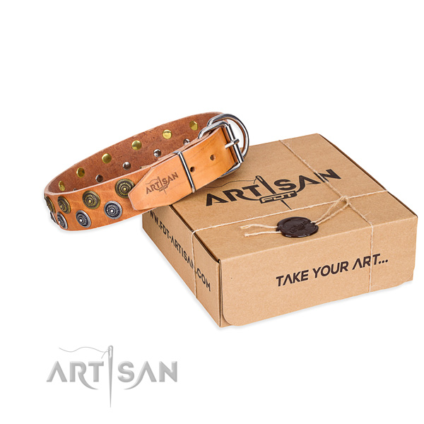 Full grain leather dog collar with adornments for walking