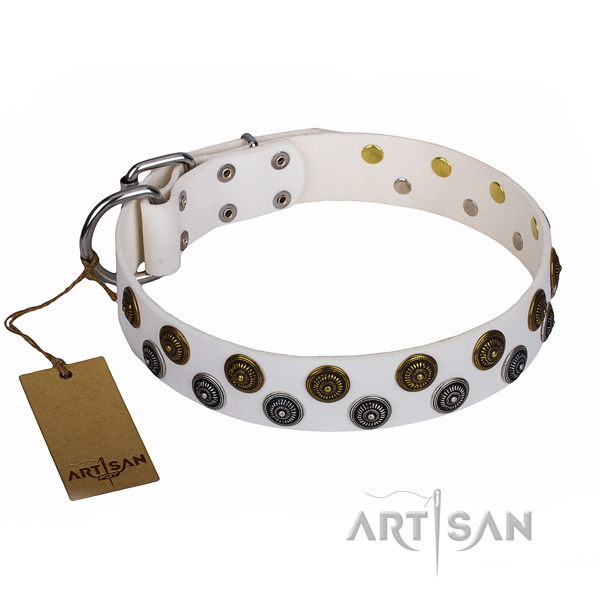 Extraordinary leather dog collar for everyday walking