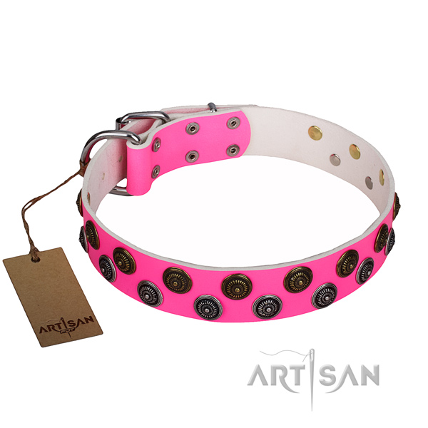 Trendy full grain natural leather dog collar for stylish walking