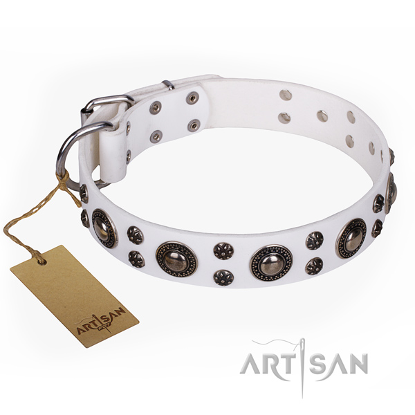 Trendy full grain natural leather dog collar for everyday walking