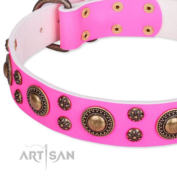 Natural genuine leather dog collar with inimitable embellishments