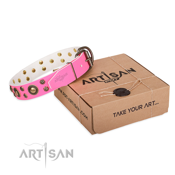 Natural genuine leather dog collar with embellishments for handy use
