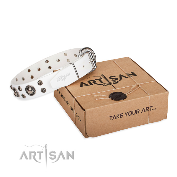 Best quality full grain leather dog collar for daily walking