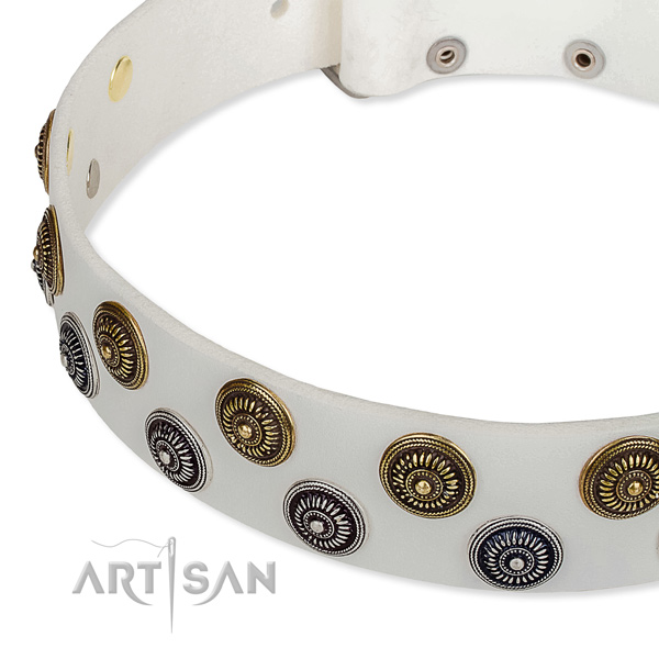 Genuine leather dog collar with stunning decorations