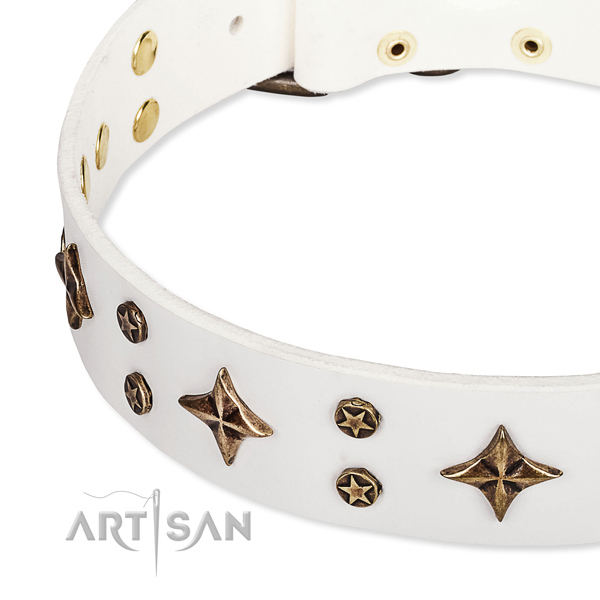 Full grain natural leather dog collar with top notch embellishments