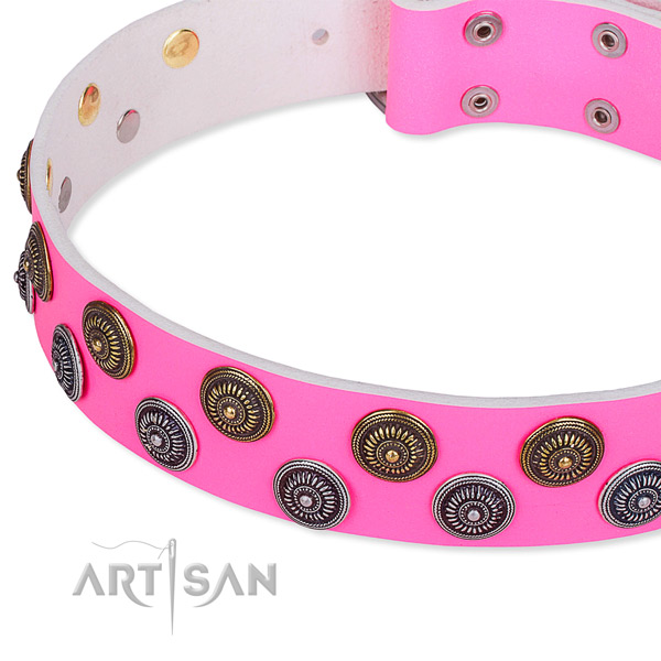 Full grain leather dog collar with unusual embellishments
