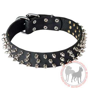 Dog leather collar with rust proof buckle and D-ring