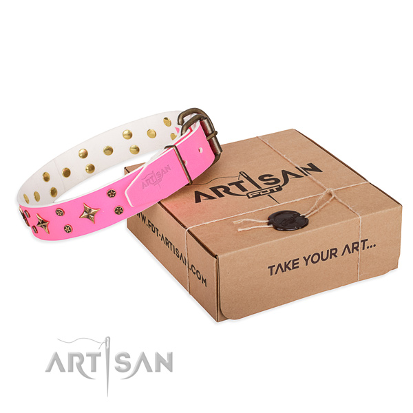 Decorated leather dog collar for stylish walks