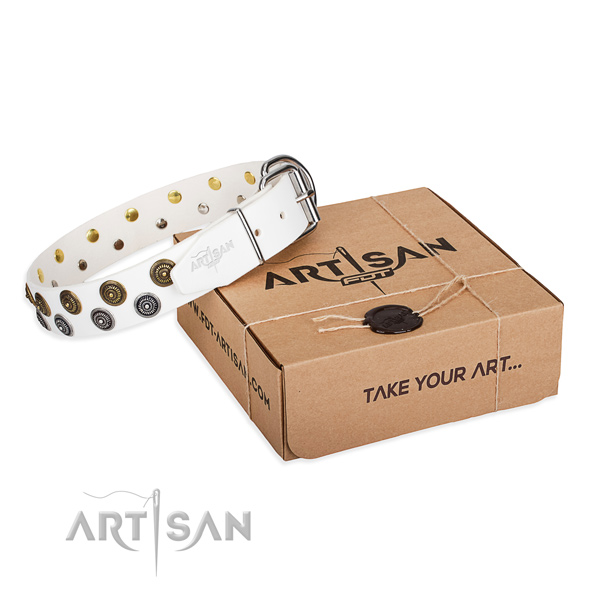 Full grain genuine leather dog collar with embellishments for stylish walking