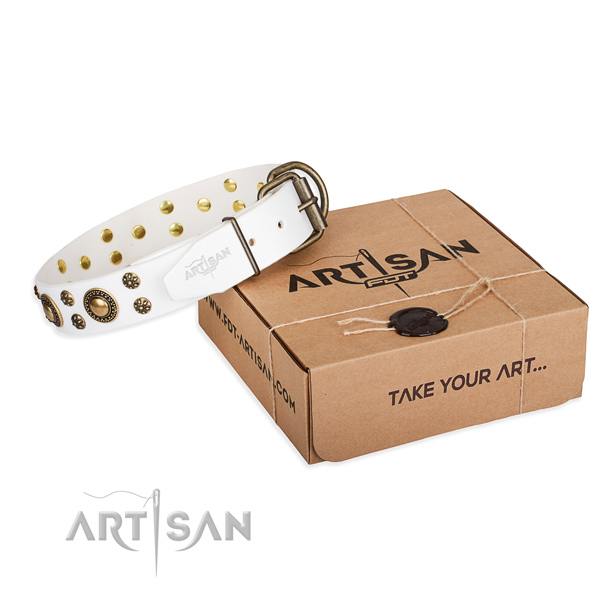 Genuine leather dog collar with adornments for everyday use