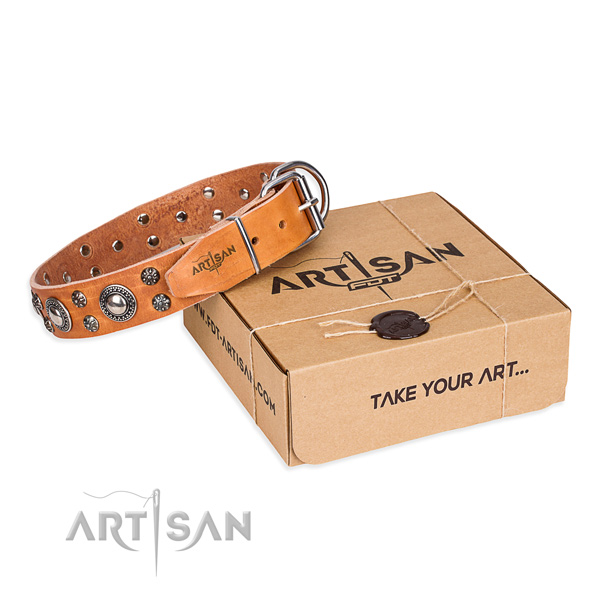 Top notch leather dog collar for stylish walks