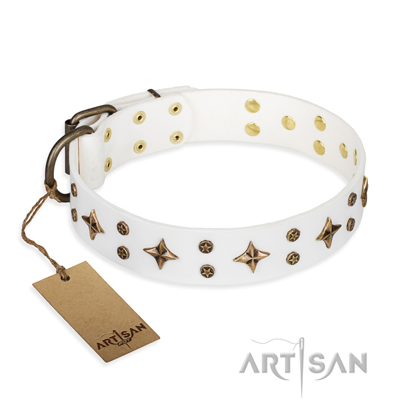 Exquisite leather dog collar for everyday walking