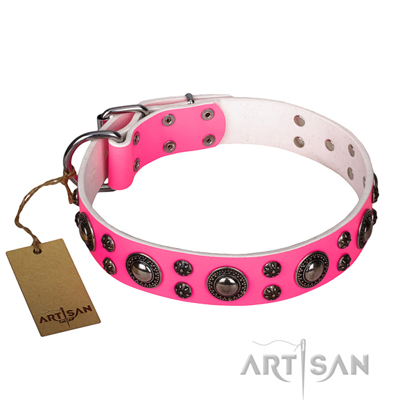 Exceptional genuine leather dog collar for daily use
