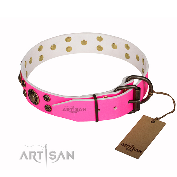 Impressive leather dog collar for everyday use