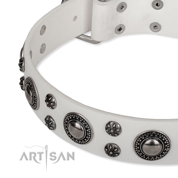 Daily use natural genuine leather collar with reliable buckle and D-ring
