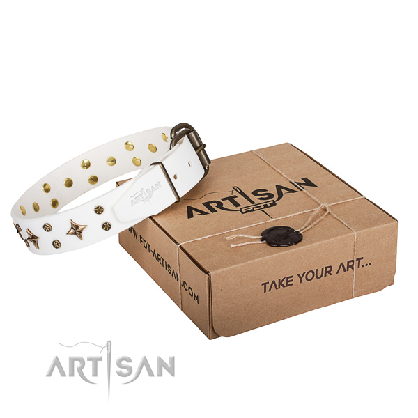 Studded genuine leather dog collar for stylish walks