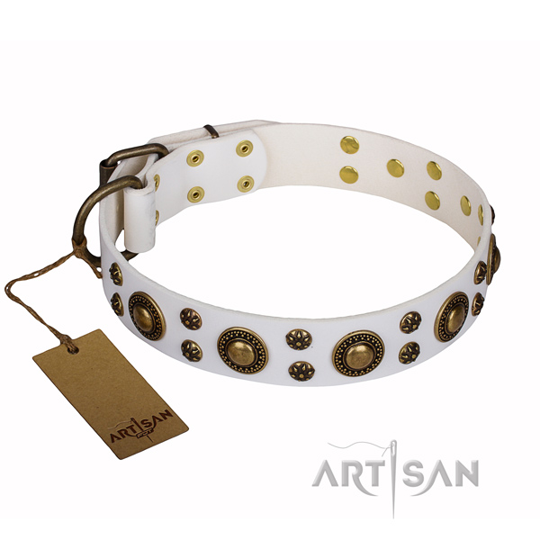 Daily walking full grain natural leather collar with embellishments for your canine