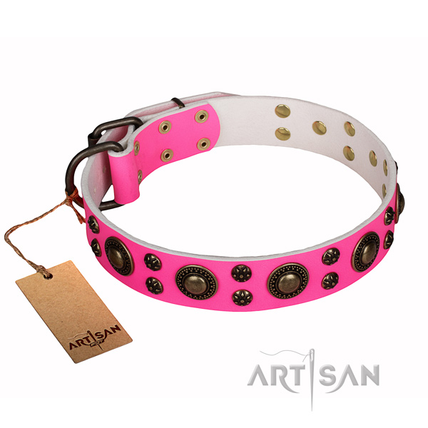 Everyday walking full grain leather collar with adornments for your pet