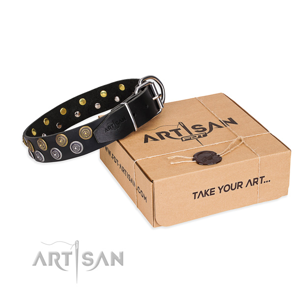 Natural genuine leather dog collar with adornments for stylish walking