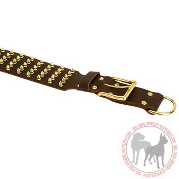 Leather walking dog collar with brass fittings