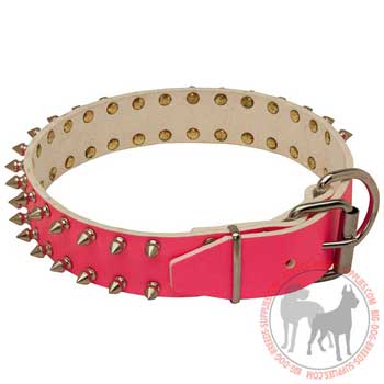Dog leather collar non-toxic material