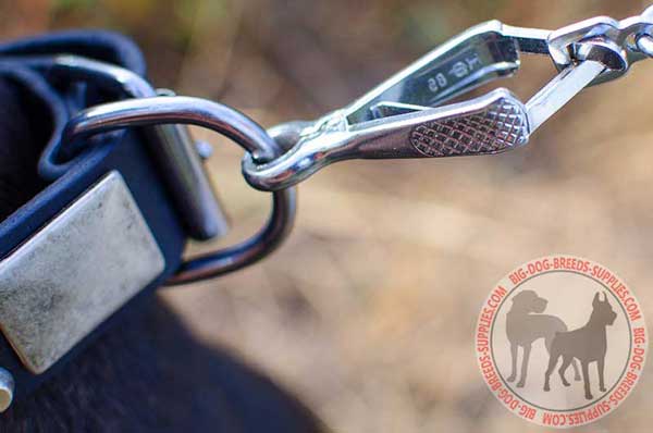 Collar for dogs with attachment for a lead 