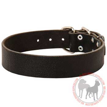 Leather collar for dog's daily walking