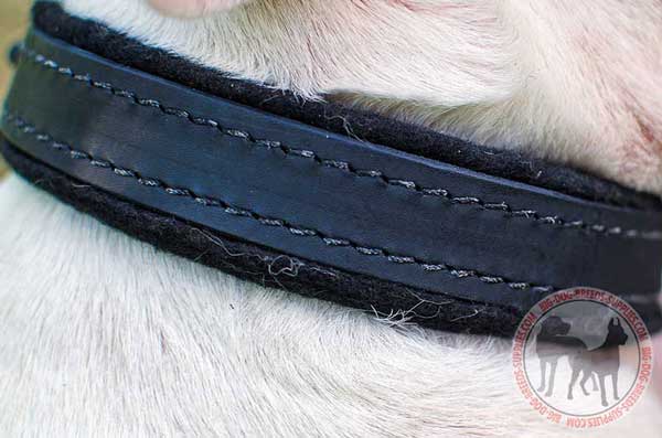 Leather Dog Collar with Long Service Life