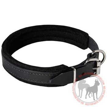 Leather dog collar with adjustable buckle