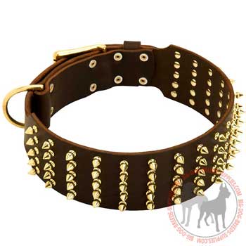 Dog wide leather collar with brass decoration