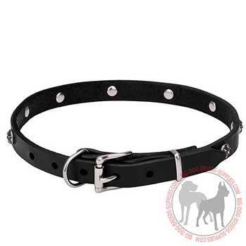 Decorated Leather Dog Collar with Strong Hardware