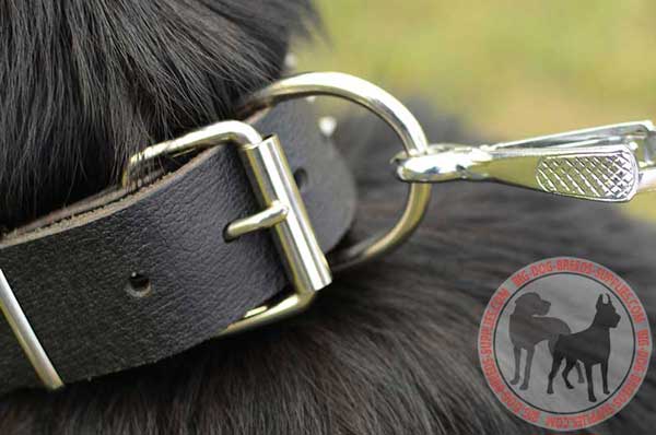 Nickel Plated Buckle and D-ring