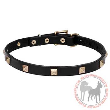 Elegant Dog Collar for Stylish Performing