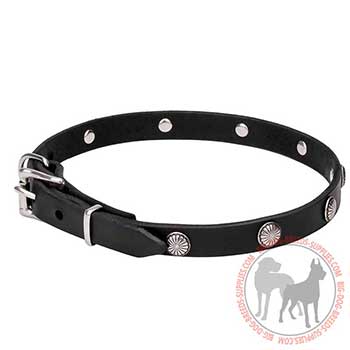 Dog Collar of Leather for Elegant Walking