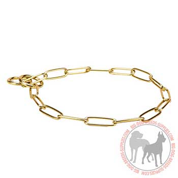 Brass Dog Collar for Training