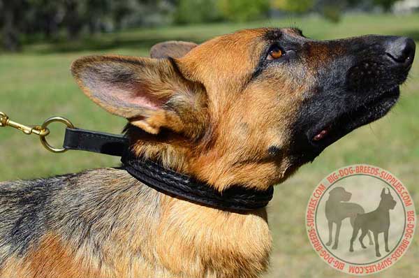 Leather Braided Choke Collar for German Shepherd Training