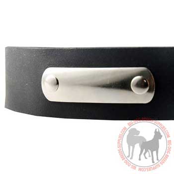 Nickel Identification Tag Riveted to Smooth Leather Collar