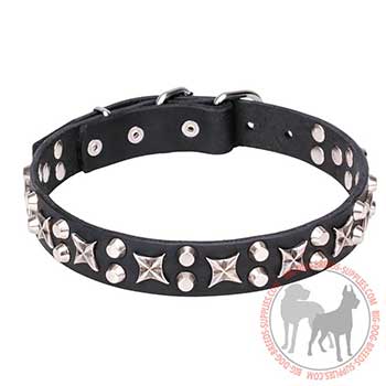 Leather Dog Collar of Superable Design
