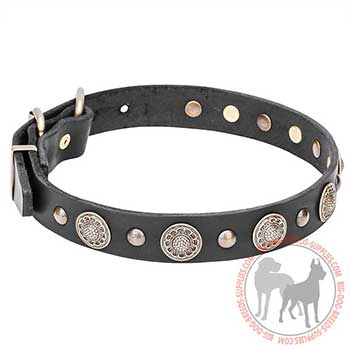 Leather Collar of Beautiful Design