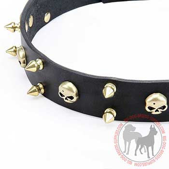 Leather Dog Collar with Brass Fittings
