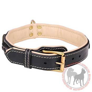 Leather Collar with Strong Hardware