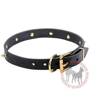 Decorated Leather Dog Collar for Walking