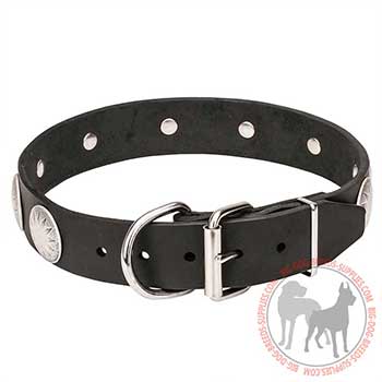 Leather Dog Collar with Strong Buckle