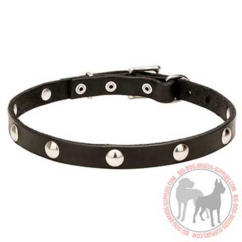 Leather Dog Collar of Fancy Design