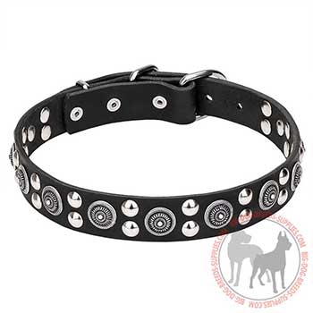 Leather Dog Collar of Fashionable Design