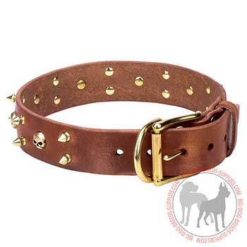 Leather Collar with Reliable Buckle