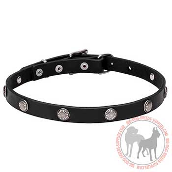 Dog Collar of Leather with Elegant Flowers