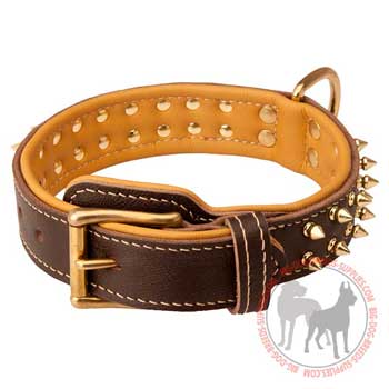 Dog Leather Collar Nappa Padded