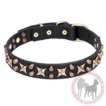 Vintage Leather Dog Collar for Stylish Walking