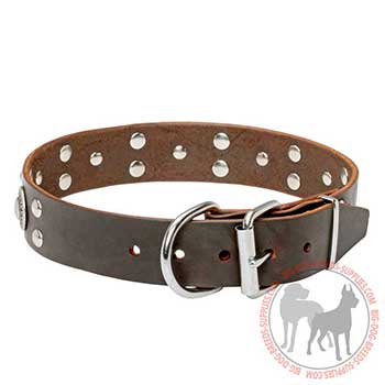 Leather Collar for Canine Stylish Performing